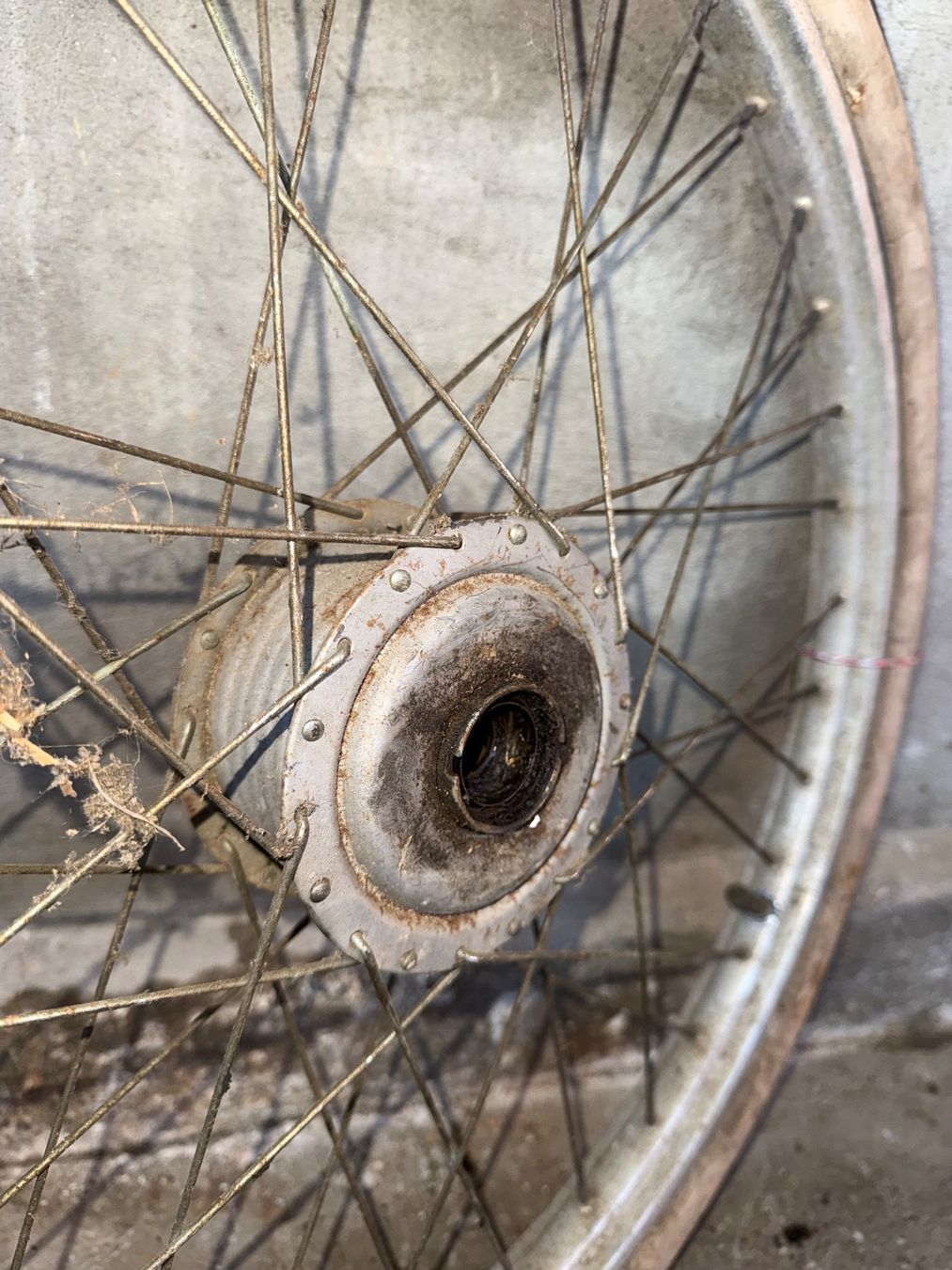 Sachs Parti ricambio per ciclomotori: Weinmann 19 Zoll Mofa Speichen Vorderrad – Difettoso da Fahrni b. Thun venduto da berger_tuning34 3