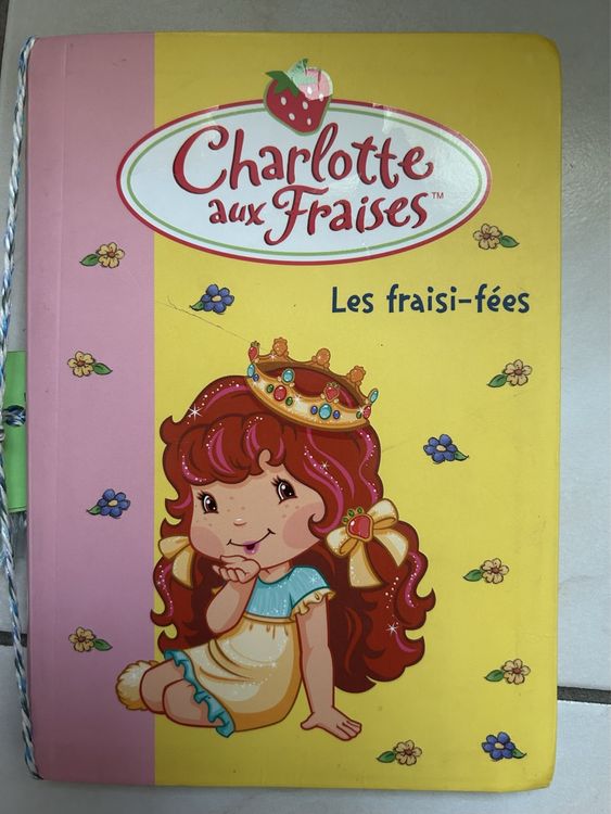 Almanach Du Facteur 2009 – Édition Charlotte Aux Fraises