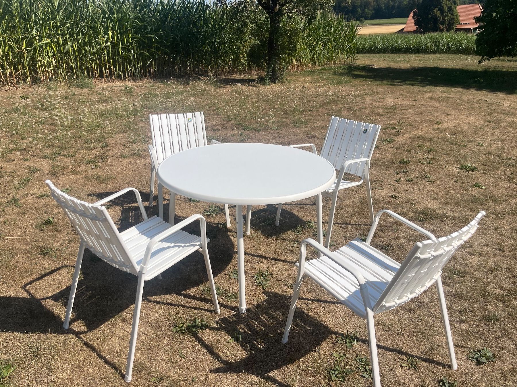 Tavoli: Gartentisch und 4 Stühle Stappelbar – Usato da Allmendingen b. BE venduto da juair 7