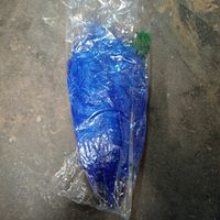 Straussenfedern blau 40-45 cm neu in Originalverpackung 