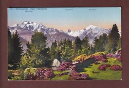 WALLISERALPEN / ALPES VALAISANNES