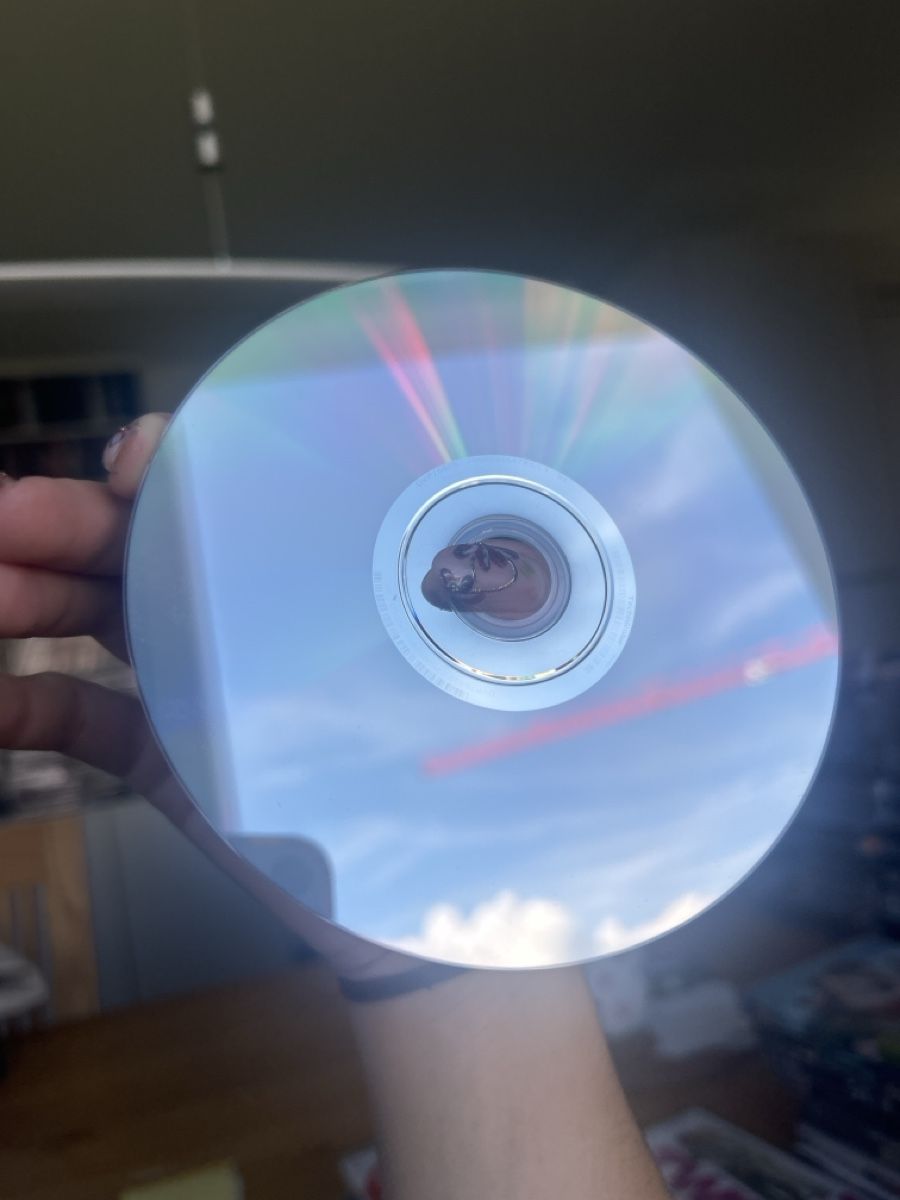 Alle DVDs: DVD The Notebook / Wie ein einziger Tag – Neu (gemäss Beschreibung) aus Schübelbach von cla_pth2 2
