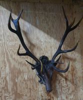 skulptur antik hirsch