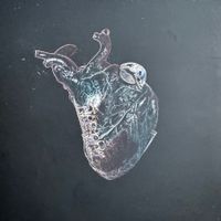 Seamus Blake, Tony Tixier, Florent Nisse, Gautier Garrigue