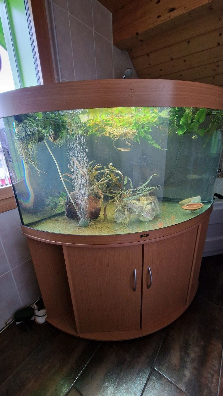 Acquari: Juwel Aquarium 300 – Usato da Blumenstein venduto da olka007