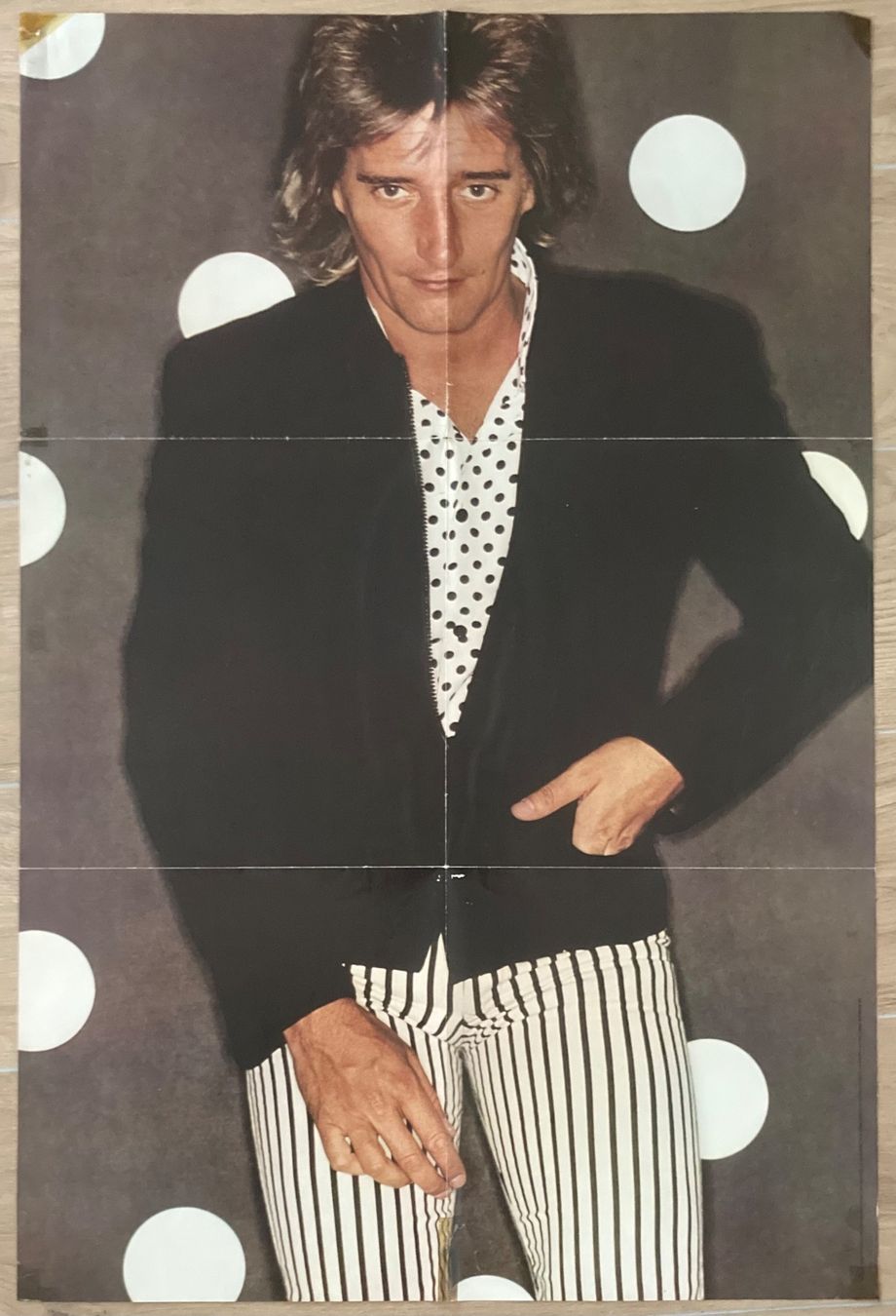 Dischi in vinile: ROD STEWART - FOOLISH BEHAVIOUR – Usato da Poliez-Pittet venduto da Newtown-Records 4