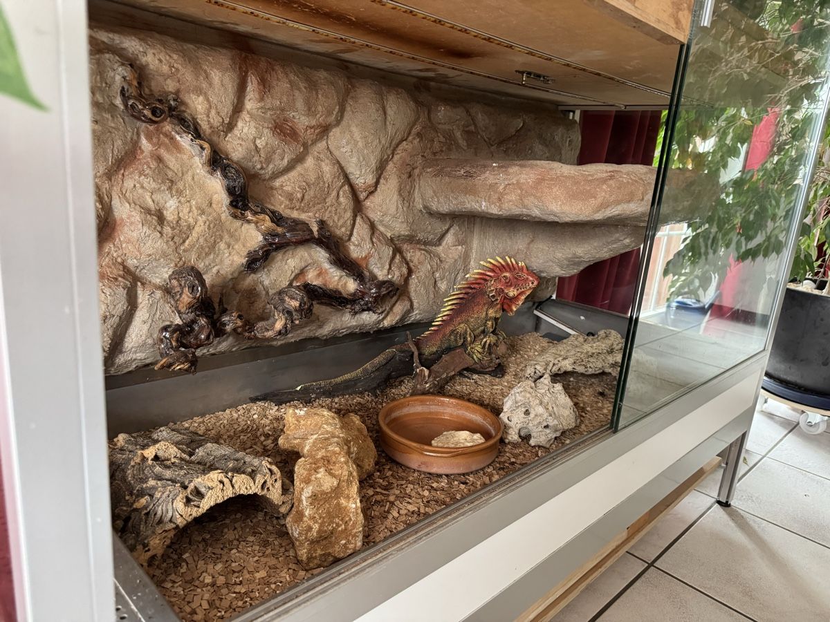 Terrario: Terrarium Forex Aluprofile – Usato da Wittinsburg venduto da Kira77 1