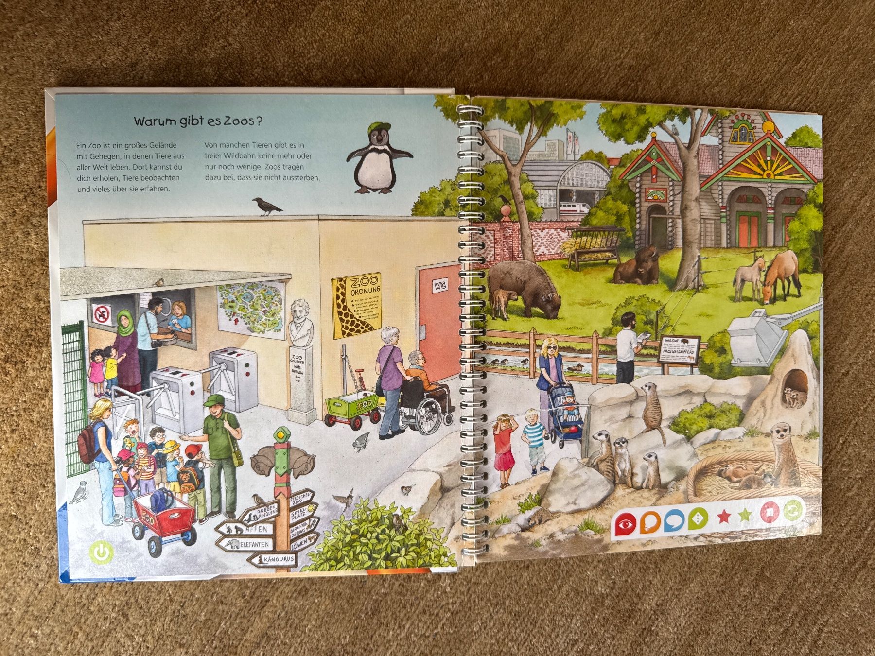 Libri: Tiptoi -  Entdecke den Zoo – Nuovo (secondo la descrizione) da Aarau venduto da Kilauea 1