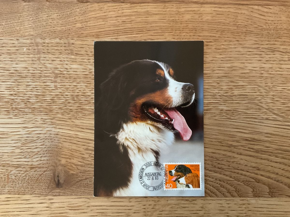 Cartes: Maxi Karten – D'occasion à Cham par Igugus 6