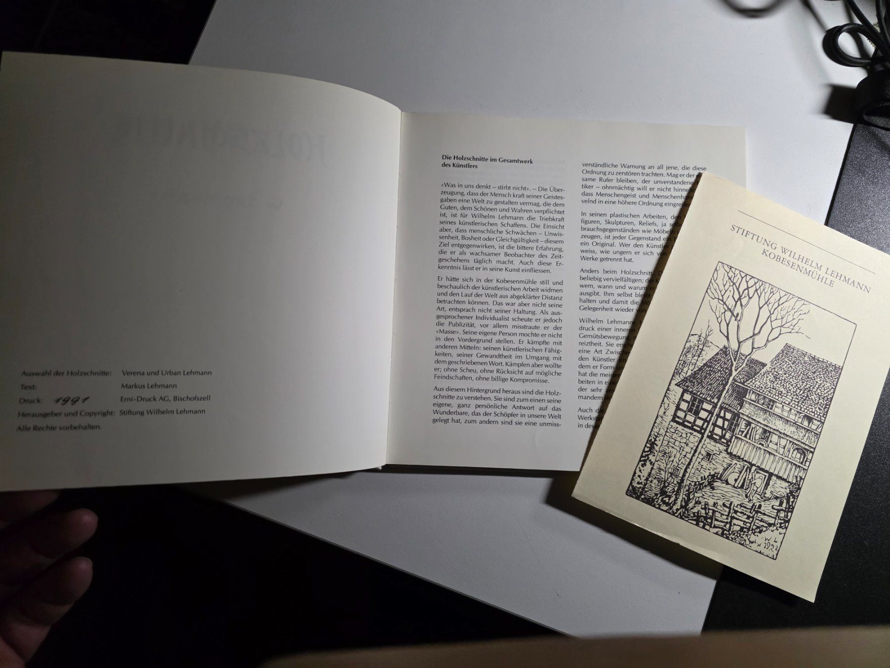 Libri: Wilhelm Lehmann - Holzschnitte - 1991 Bischofszell – Usato da Walterswil BE venduto da Lonitti 1