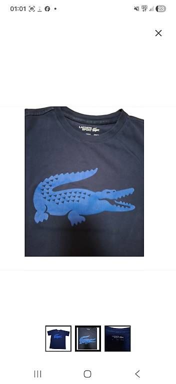 T-Shirts: Lacoste T-shirt – Gebraucht aus Wetzikon ZH von cet_6fbf 1