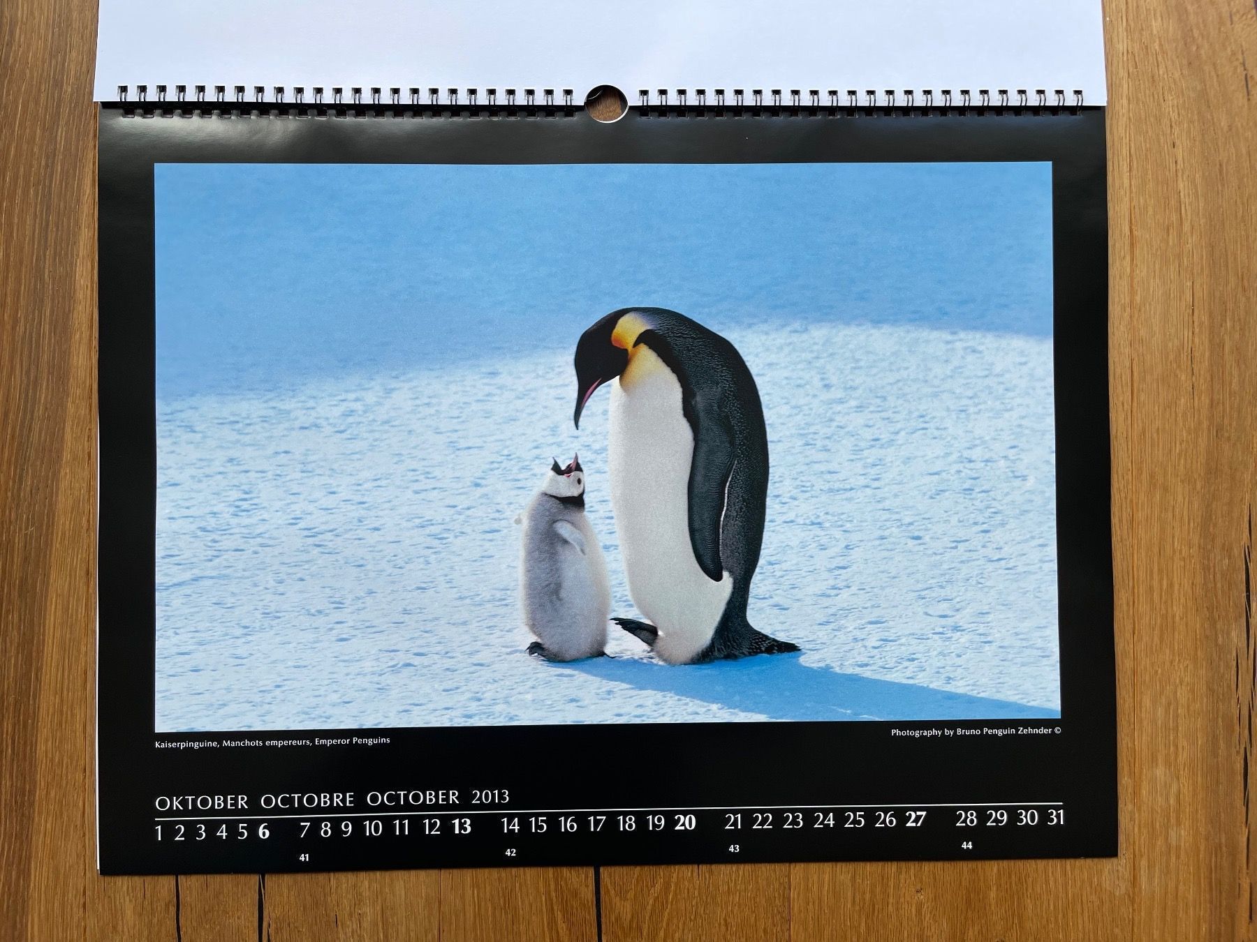 Kalender: Pinguin-Kalender (Bruno Zehnder) – Neu und originalverpackt aus Volketswil von doughboy 3