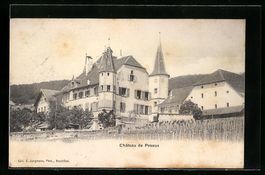 AK Peseux, Le Chateau, 1909