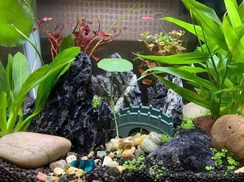 Bausteine: Aquarium Steine 5kg – Neu und originalverpackt aus Hundwil von Stallone6 6