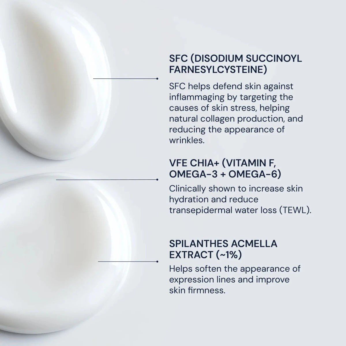 Cura del viso: Blueprint Bryan Johnson SFC Serum 30ml + Moisturizer 50ml – Nuovo e nell'imballaggio originale da Münchwilen TG venduto da Androxid 5
