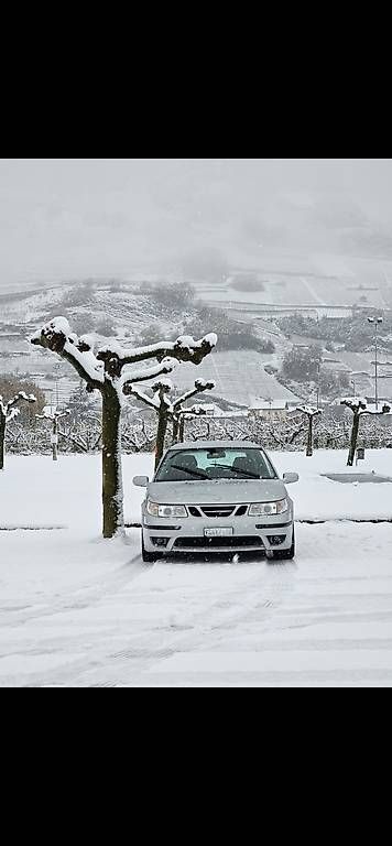 Saab Automobili: Saab 9-5 aero TS – Usato da Riddes venduto da tri_cp2x 2