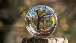 Hochwertige Glaskugel für Fotografie