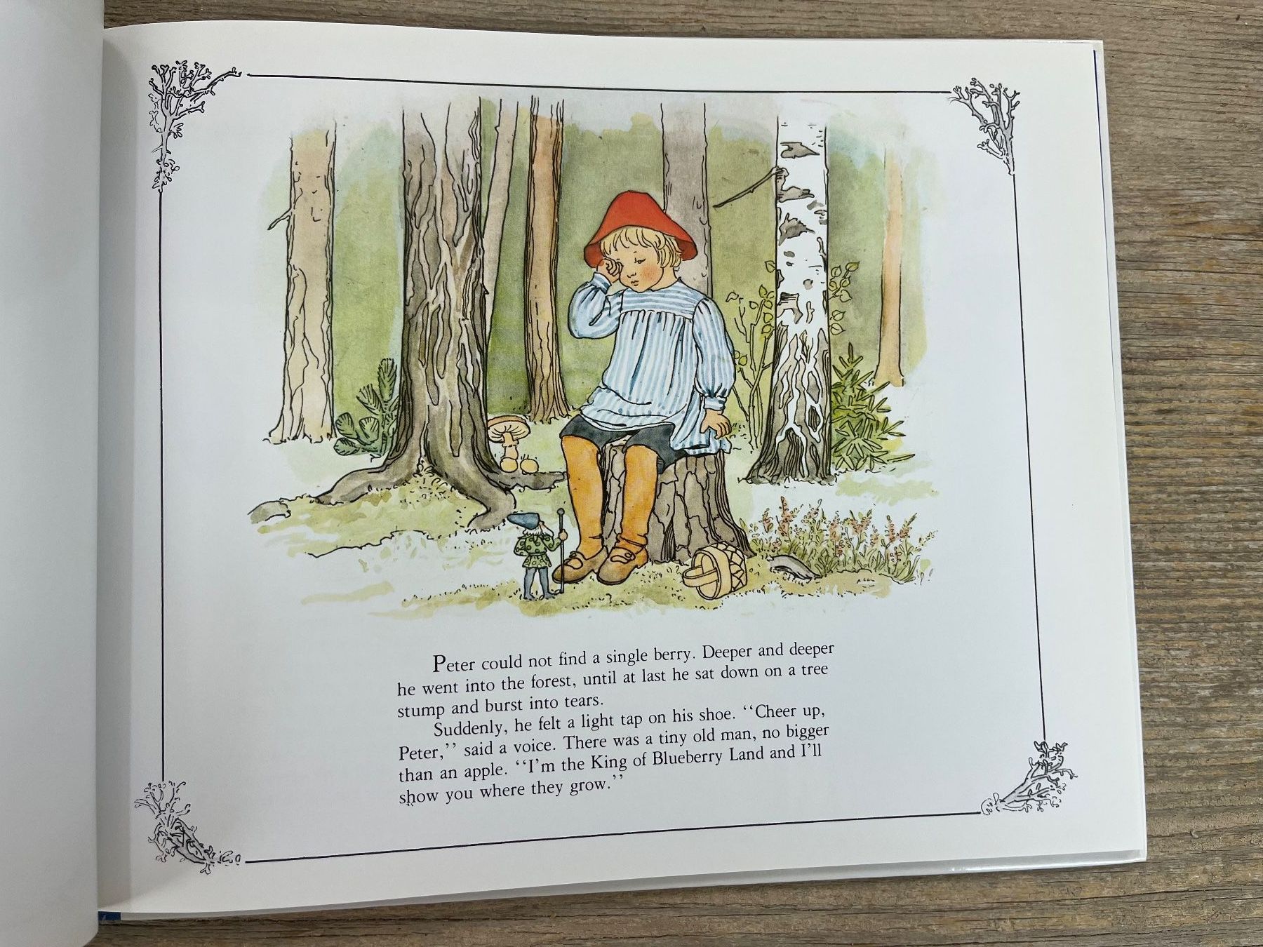 Libri: Elsa Beskov: Peter in Blueberry Land – Usato da Pfäffikon ZH venduto da buresi 3