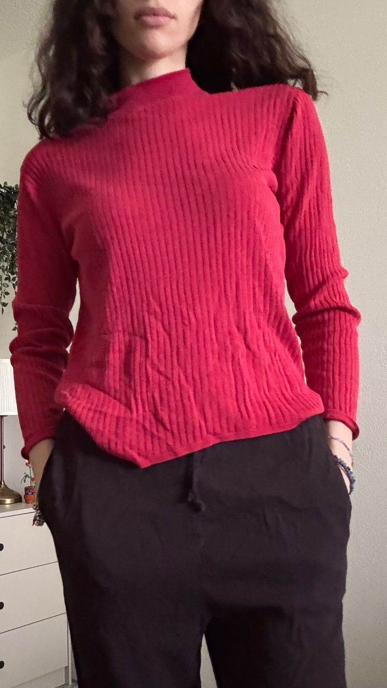 Walbusch Pulls & Sweat-shirts: Walbusch Rollkragentop, Gr. 38, Rot – D'occasion à Bülach par reaos