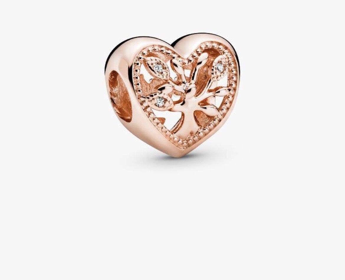 Pandora Ciondoli: Pandora Charm Family – Usato da Hägglingen venduto da h.hub 4