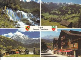 Lenk 1989