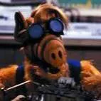 Profile image of Alf69