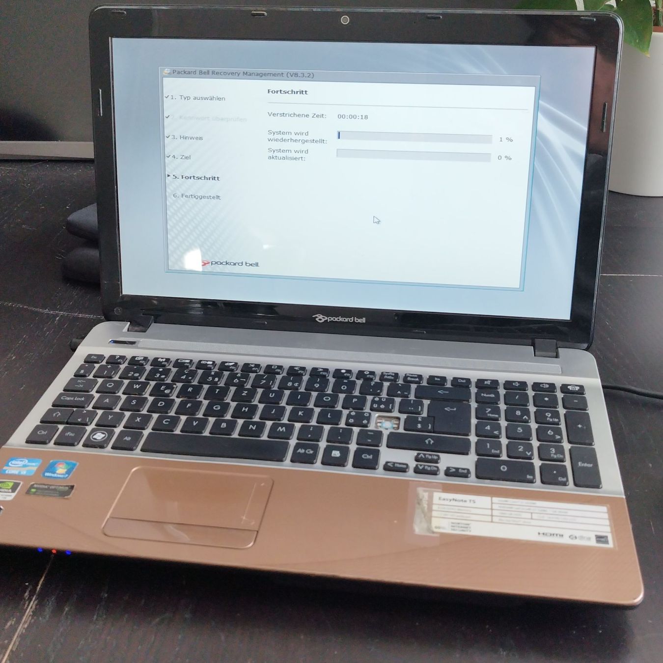 Notebook: Packard Bell EasyNote TS Laptop 15.6" – Usato da Walkringen venduto da ani_6bgd