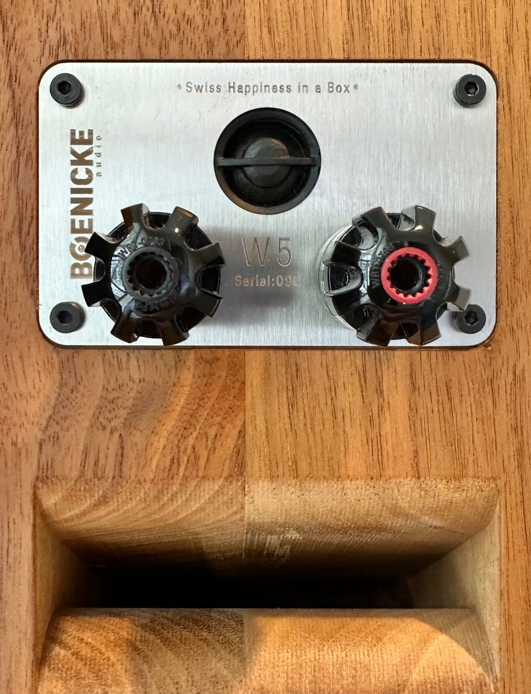 Boenicke Casse acustiche: Boenicke Audio W5 SE Walnut – Usato da Feusisberg venduto da Frizzle63 5