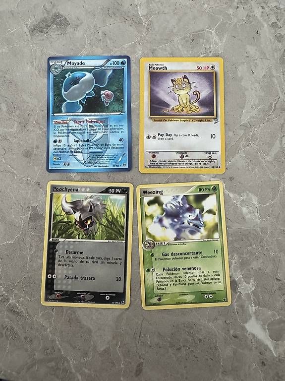 Pokémon Carte collezionabili: Pokémon Karten  Internationales Konvolut – Usato da Meinisberg venduto da Knightdeals