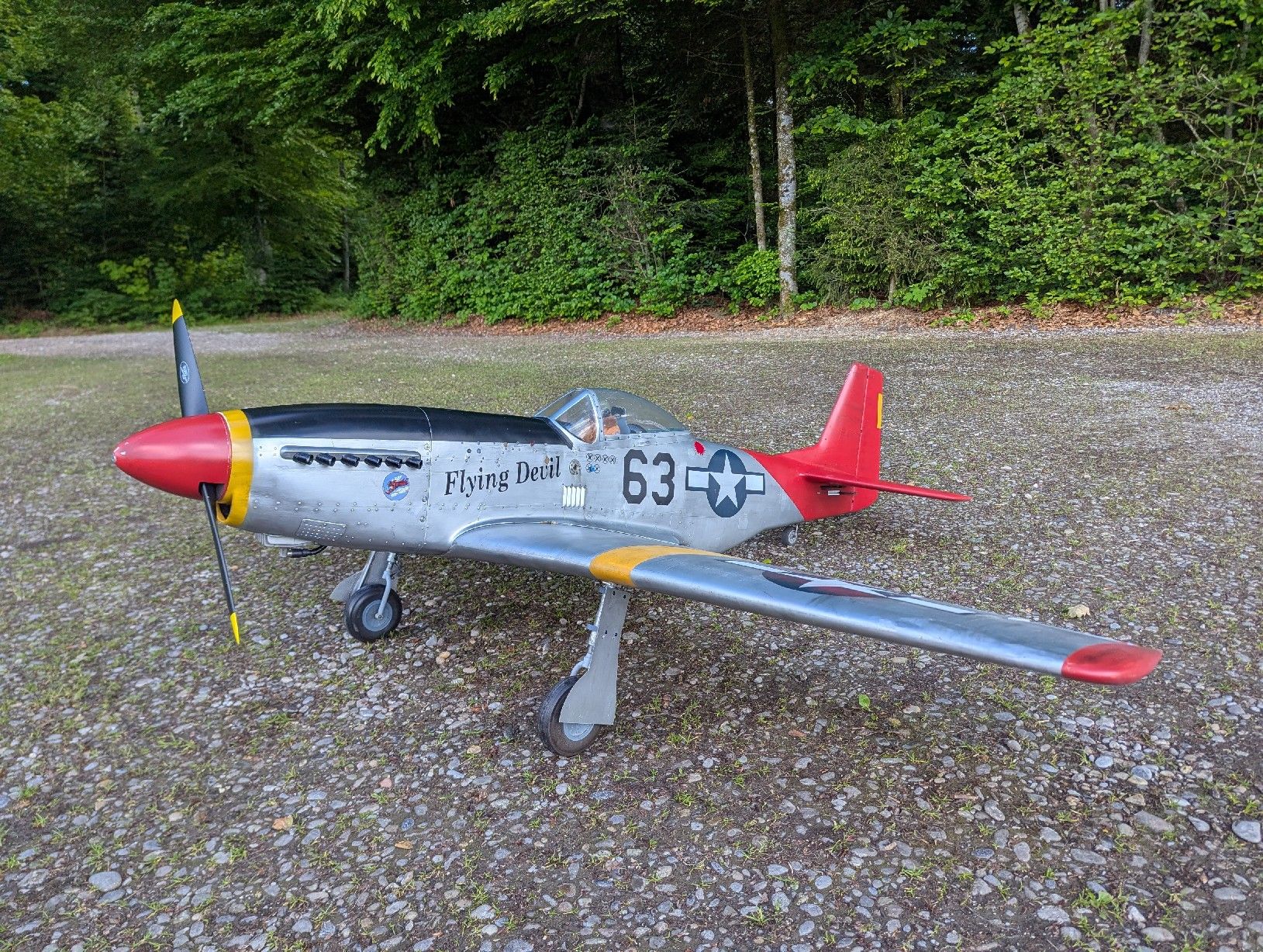 RC Modellbau: Airworld 1:5 P51 Mustang – Defekt aus Biberist von groser