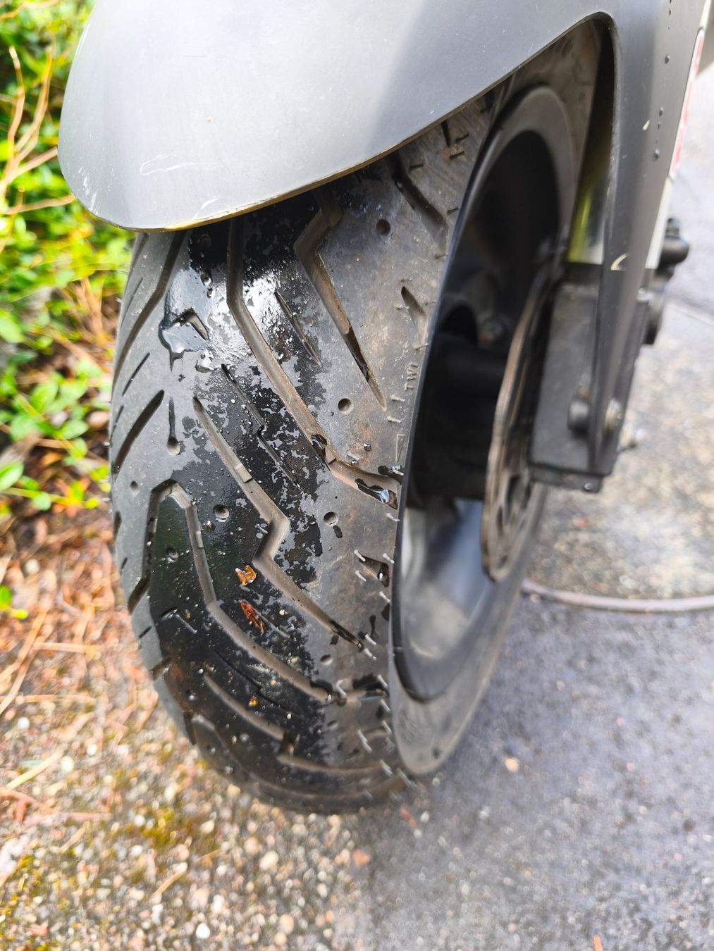 Tgb Scooters: Roller TGB Bullet 50 ab MFK – Gebraucht aus Arisdorf von Iliem 5