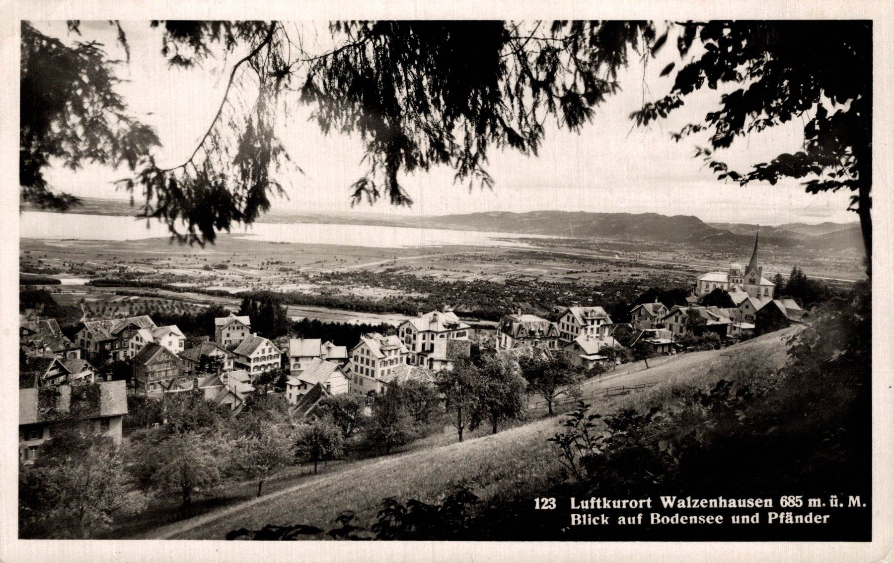 Cartoline postali: Luftkurort Walzenhausen. Blick auf Bodensee und Pfänder – Usato da Bronschhofen venduto da Astore