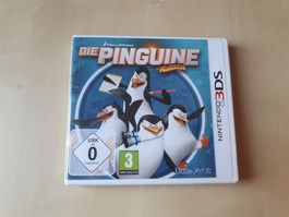die Pinugine aus Madagascar