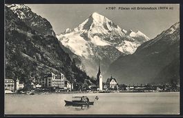 Flüelen, Totalansicht mit Bristenstock