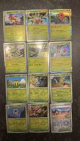 Pokemon Karten Set, Alle Holo Karten!