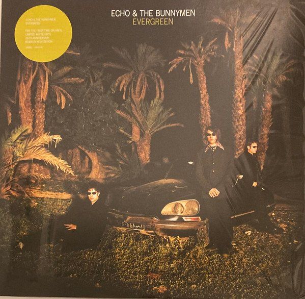 Echo & The Bunnymen Evergreen_ 2022 NEW New LTD ed. White Kaufen