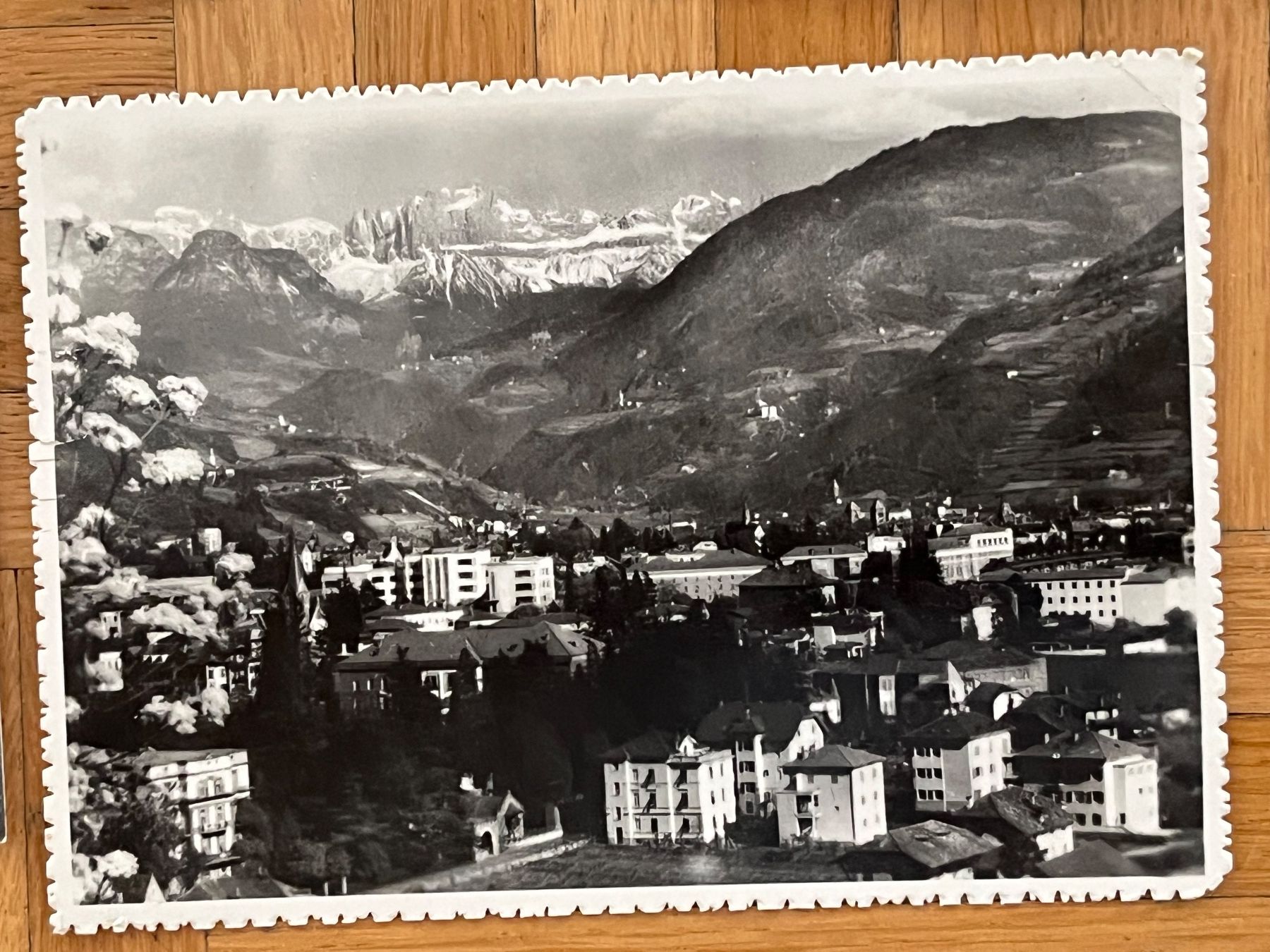 Cartoline postali: Bolzano / Bozen, uralt – Usato da Romanshorn venduto da luxcollect