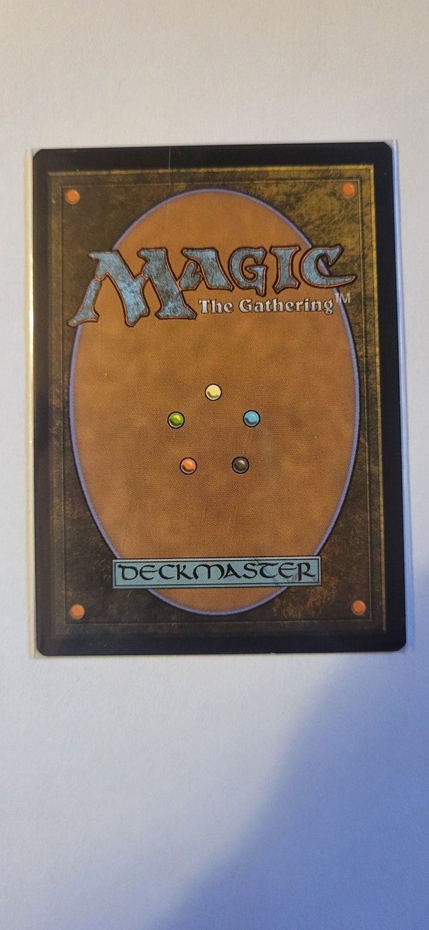 Magic The Gathering Carte collezionabili: MTG - Pentarch Ward – Usato da Münsingen venduto da Heroism2010 1