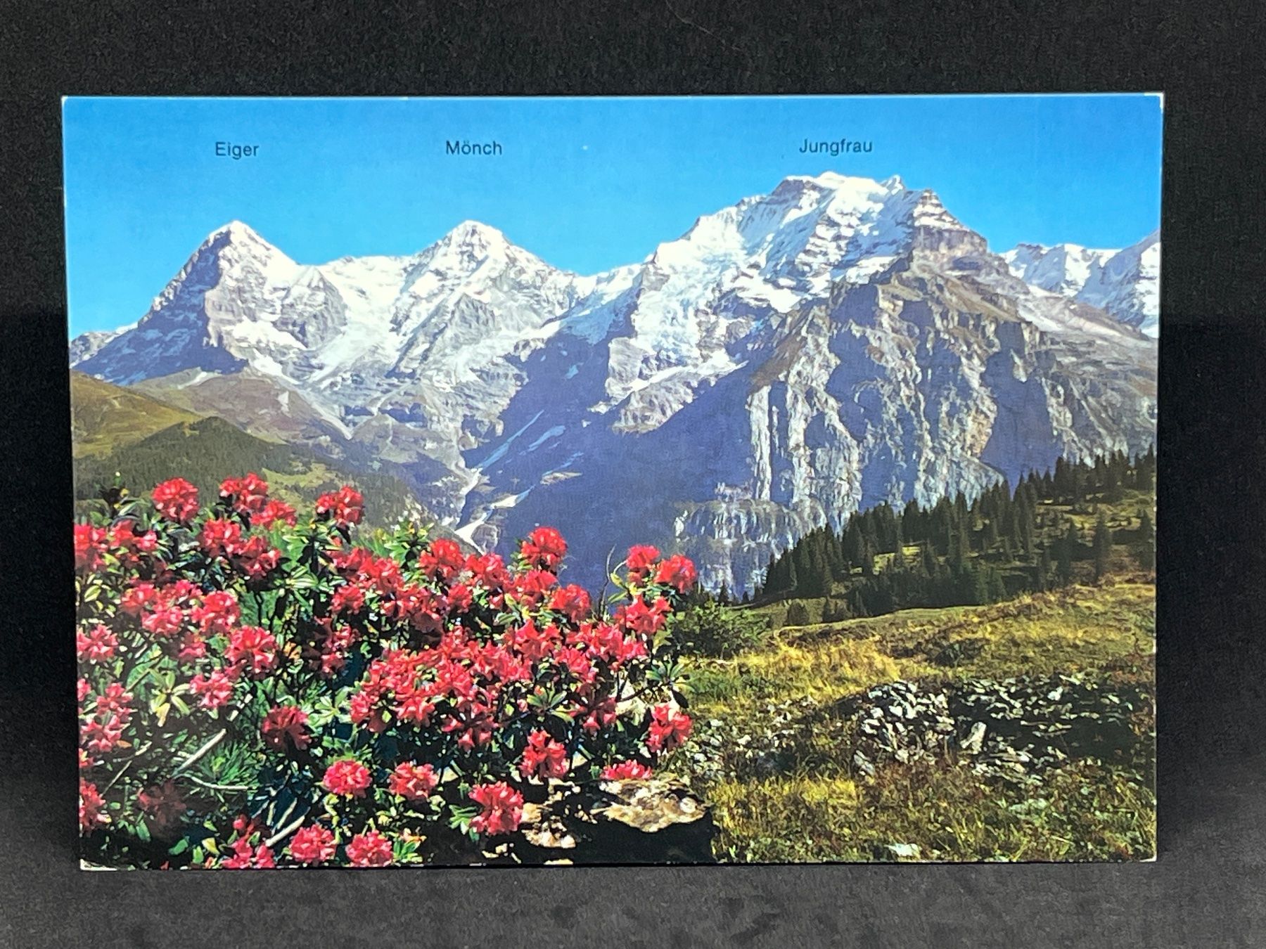 Cartoline postali: Eiger, Mönch und Jungfrau – Usato da Widnau venduto da Brusi9