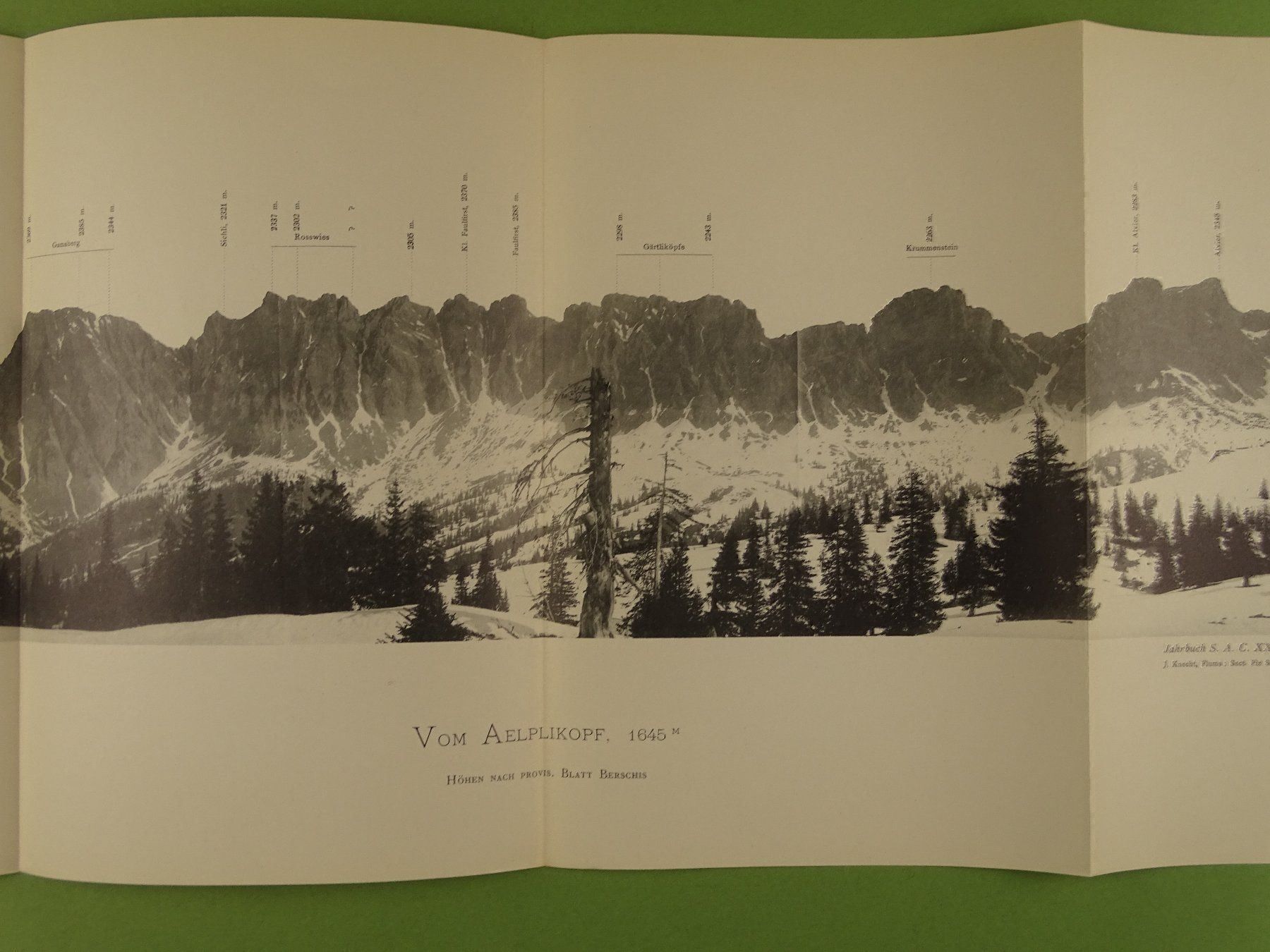 Cartine & Atlanti: PANORAMA VOM AELPLIKOPF, 1897 – Usato da Grüningen venduto da Kartensammler 1