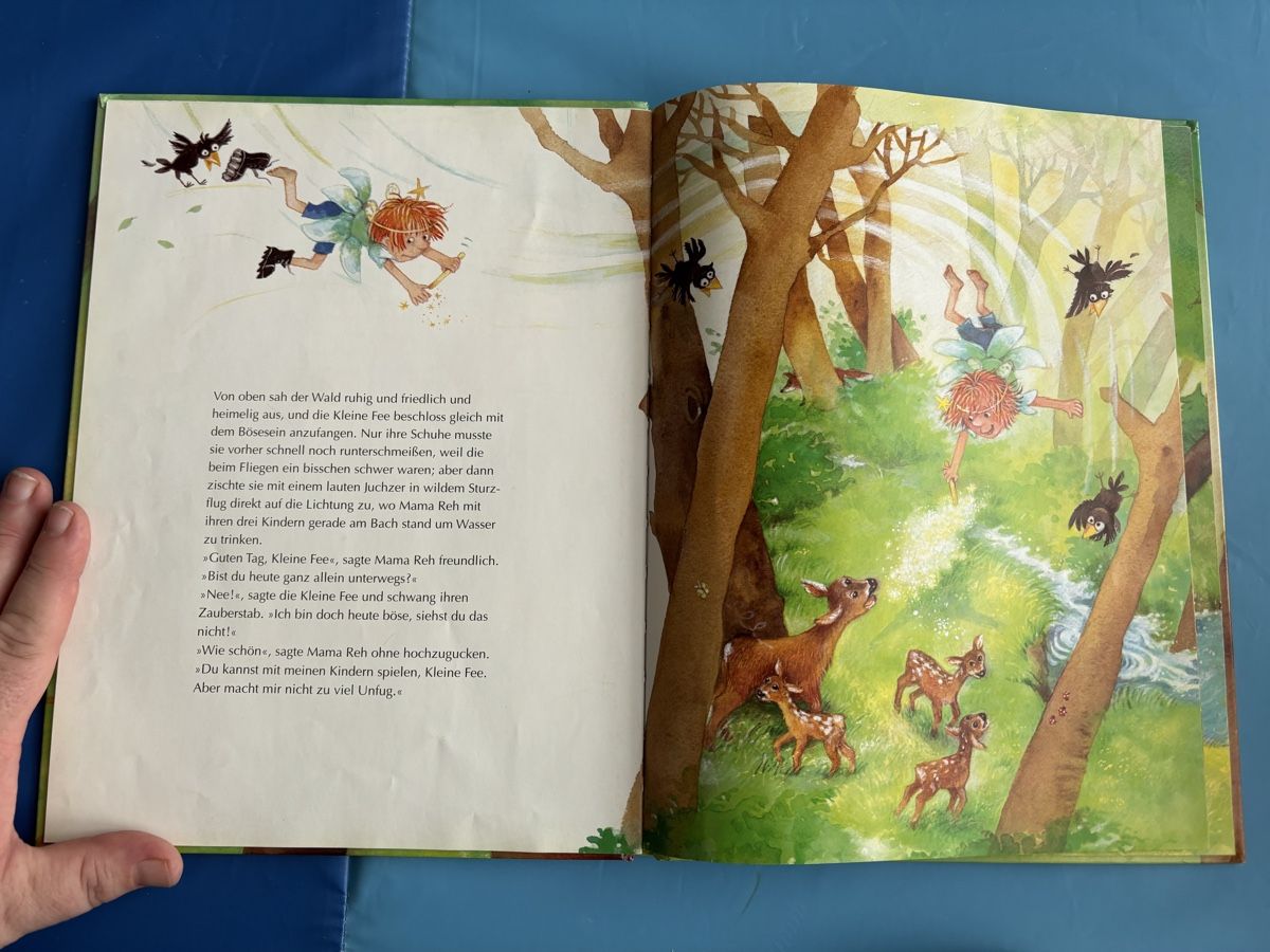 Libri: Kinderbuch "Nee! sagte die Fee" – Usato da Herzogenbuchsee venduto da MoLa85 2