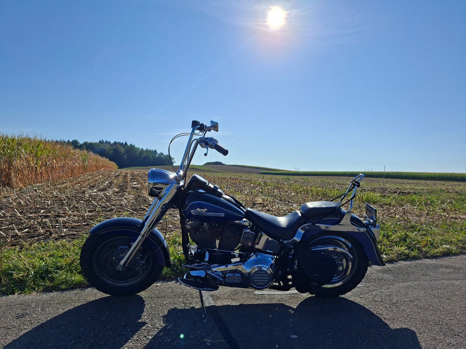 Harley-Davidson Touring: Harley Davidson Fat Boy  1340 Vergaser – Gebraucht aus Volketswil von LuckyandCandy 1