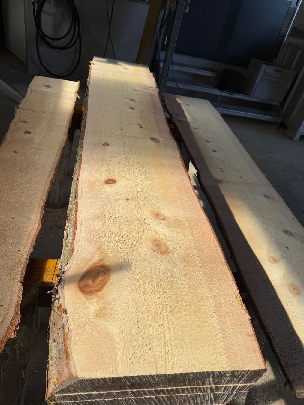 Articoli in legno: Thuja klotzbretter ganzer Stamm – Usato da Holziken venduto da Timbergrizzly 4
