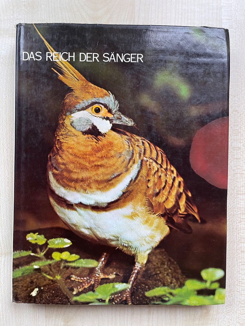 Bücher: Das Reich der Sänger Band 5 Vögel – Neu (gemäss Beschreibung) aus Kölliken von Hap-7