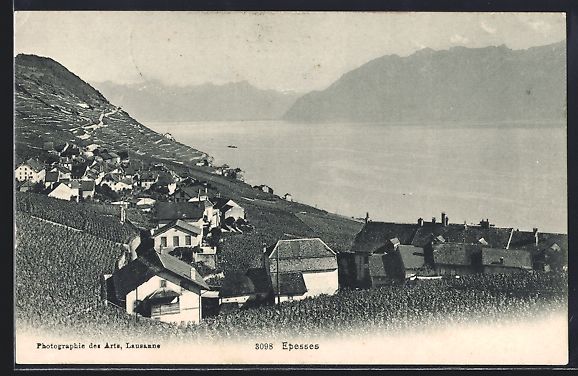 Ansichtskarten: AK Epesses, Panorama mit Bergen, 1907 – Gebraucht aus Berlin von bartko-reher