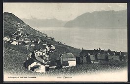 AK Epesses, Panorama mit Bergen, 1907