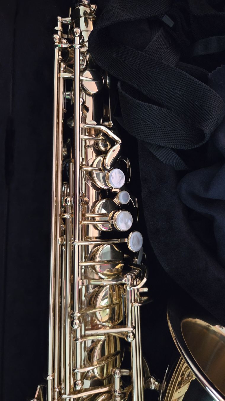 Selmer Strumenti musicali: alt Saxophon selmer – Usato da Wollerau venduto da flitzi88 2