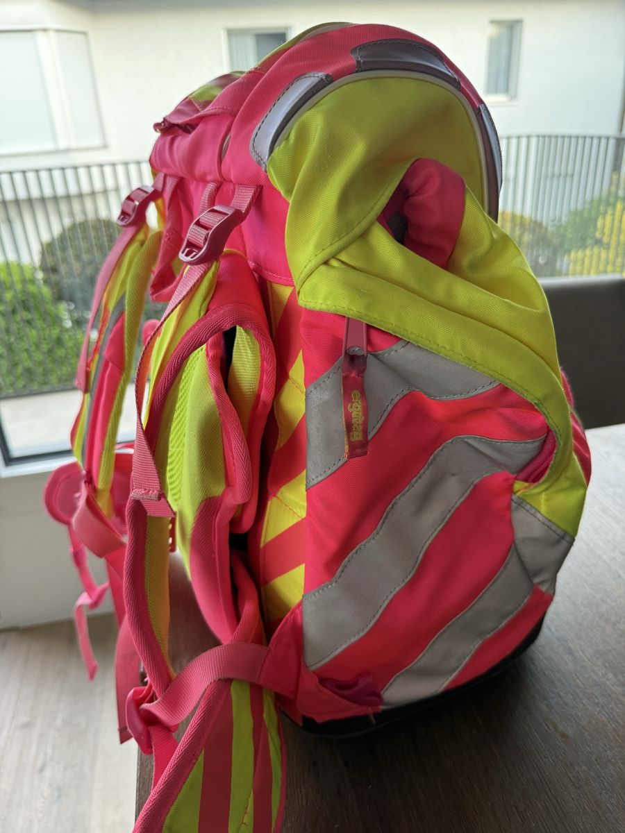 Ergobag Borse & Zaini: Ergobag Thek inkl. Turnsack – Usato da Thalwil venduto da Corbin11 1