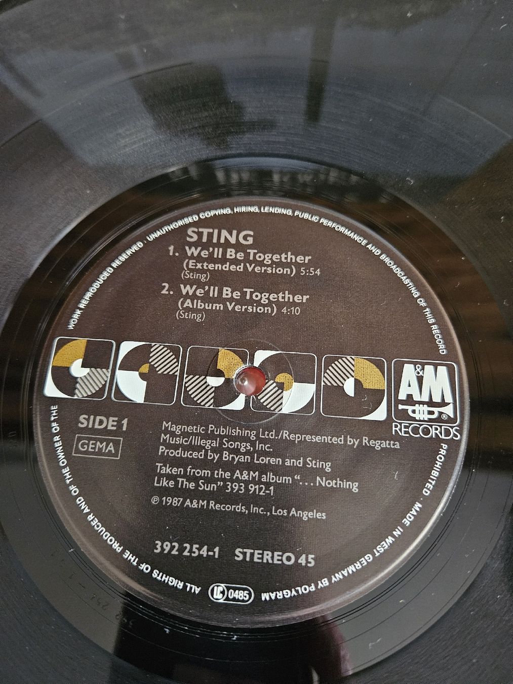 Dischi in vinile: Vinyl Schallplatte Sting - We'll Be Together – Usato da Bertschikon Gossau venduto da simla09 1