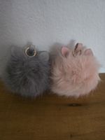 Katzen Boomt x 2